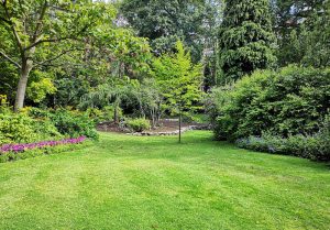 Optimiser l'expérience du jardin à Bursard